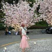 ヒメ日記 2025/05/14 18:02 投稿 りん Charme（シャルム）