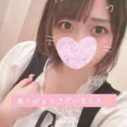 ヒメ日記 2025/04/20 09:29 投稿 ななせ 新宿クリスタル