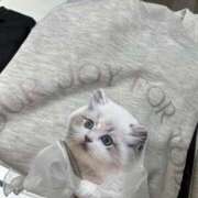 ヒメ日記 2024/12/26 14:20 投稿 なのか CLUB DEEP