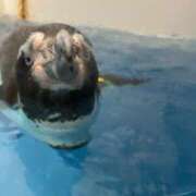 ヒメ日記 2025/01/02 11:09 投稿 なのか CLUB DEEP