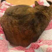 ヒメ日記 2025/01/11 14:10 投稿 なのか CLUB DEEP