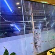 ヒメ日記 2025/01/12 08:49 投稿 なのか CLUB DEEP