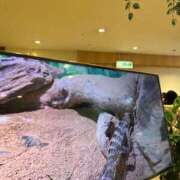 ヒメ日記 2025/01/17 14:41 投稿 なのか CLUB DEEP