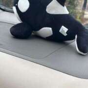 ヒメ日記 2025/02/02 14:10 投稿 なのか CLUB DEEP