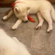 ヒメ日記 2025/02/21 19:40 投稿 なのか CLUB DEEP