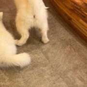 ヒメ日記 2025/02/23 14:34 投稿 なのか CLUB DEEP