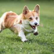 ヒメ日記 2025/03/06 14:14 投稿 なのか CLUB DEEP