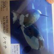 ヒメ日記 2025/03/07 14:07 投稿 なのか CLUB DEEP