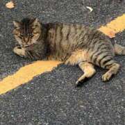 ヒメ日記 2025/03/12 14:34 投稿 なのか CLUB DEEP