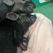 ヒメ日記 2025/03/15 14:24 投稿 なのか CLUB DEEP