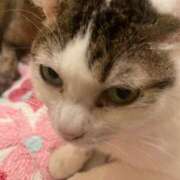 ヒメ日記 2025/03/17 14:44 投稿 なのか CLUB DEEP