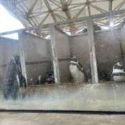 ヒメ日記 2025/03/30 01:04 投稿 なのか CLUB DEEP