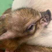 ヒメ日記 2025/04/03 14:34 投稿 なのか CLUB DEEP