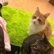 ヒメ日記 2025/04/11 22:04 投稿 なのか CLUB DEEP