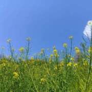 ヒメ日記 2025/04/22 23:44 投稿 なのか CLUB DEEP