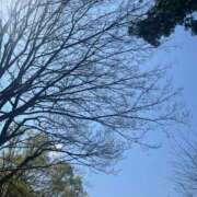 ヒメ日記 2025/05/08 14:54 投稿 なのか CLUB DEEP