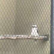 ヒメ日記 2025/05/11 17:04 投稿 なのか CLUB DEEP