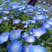 ヒメ日記 2025/06/11 00:04 投稿 なのか CLUB DEEP