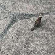 ヒメ日記 2025/08/01 12:04 投稿 なのか CLUB DEEP