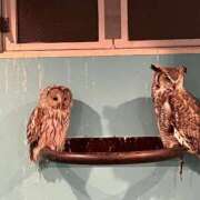 ヒメ日記 2025/09/05 12:05 投稿 なのか CLUB DEEP