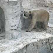 ヒメ日記 2025/09/23 12:04 投稿 なのか CLUB DEEP