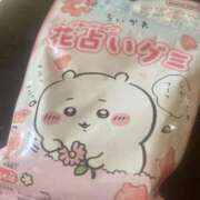 ヒメ日記 2025/10/19 09:24 投稿 なのか CLUB DEEP