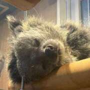 ヒメ日記 2025/11/07 11:04 投稿 なのか CLUB DEEP