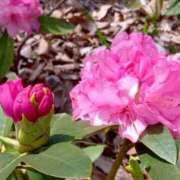 ヒメ日記 2025/11/10 14:54 投稿 なのか CLUB DEEP