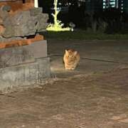 ヒメ日記 2025/11/16 14:44 投稿 なのか CLUB DEEP