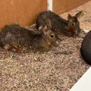 ヒメ日記 2026/01/05 18:34 投稿 なのか CLUB DEEP