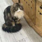 ヒメ日記 2026/01/22 14:44 投稿 なのか CLUB DEEP