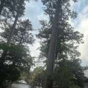 ヒメ日記 2026/01/25 20:14 投稿 なのか CLUB DEEP