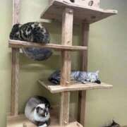 ヒメ日記 2026/01/30 14:44 投稿 なのか CLUB DEEP