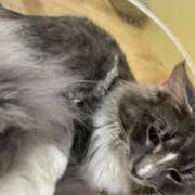 ヒメ日記 2026/03/05 14:34 投稿 なのか CLUB DEEP