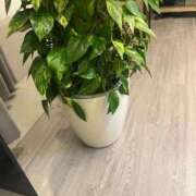 ヒメ日記 2026/04/05 20:14 投稿 なのか CLUB DEEP