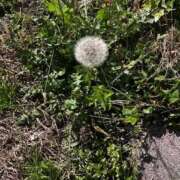 ヒメ日記 2026/04/12 18:54 投稿 なのか CLUB DEEP