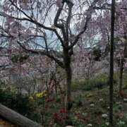 ヒメ日記 2026/04/16 18:34 投稿 なのか CLUB DEEP