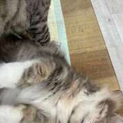 ヒメ日記 2026/07/11 00:14 投稿 なのか CLUB DEEP