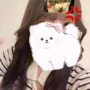 ヒメ日記 2025/01/11 17:16 投稿 しゅう ビアガーデンカーニバル