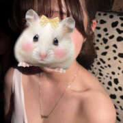 ヒメ日記 2025/04/18 19:44 投稿 しゅう ビアガーデンカーニバル