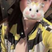 ヒメ日記 2025/04/28 19:41 投稿 しゅう ビアガーデンカーニバル