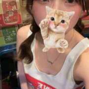 ヒメ日記 2025/05/08 19:46 投稿 しゅう ビアガーデンカーニバル