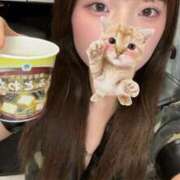 ヒメ日記 2025/06/11 17:49 投稿 しゅう ビアガーデンカーニバル