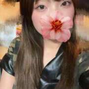 ヒメ日記 2025/06/13 15:01 投稿 しゅう ビアガーデンカーニバル