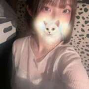 ヒメ日記 2025/08/17 13:08 投稿 しゅう ビアガーデンカーニバル