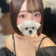 ヒメ日記 2025/08/29 12:28 投稿 しゅう ビアガーデンカーニバル