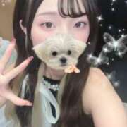 ヒメ日記 2025/09/26 12:19 投稿 しゅう ビアガーデンカーニバル