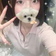 ヒメ日記 2025/10/11 12:36 投稿 しゅう ビアガーデンカーニバル