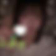 ヒメ日記 2025/12/23 16:30 投稿 しゅう ビアガーデンカーニバル