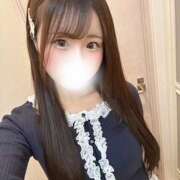 ヒメ日記 2025/12/17 19:28 投稿 ミル 姫路ラビット